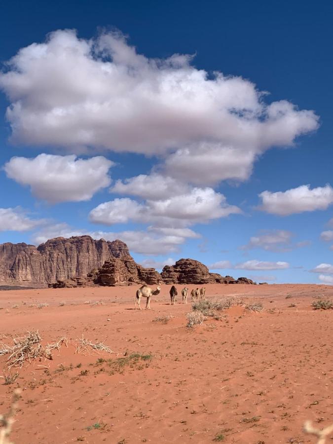 Wadi Rum Story Kültér fotó