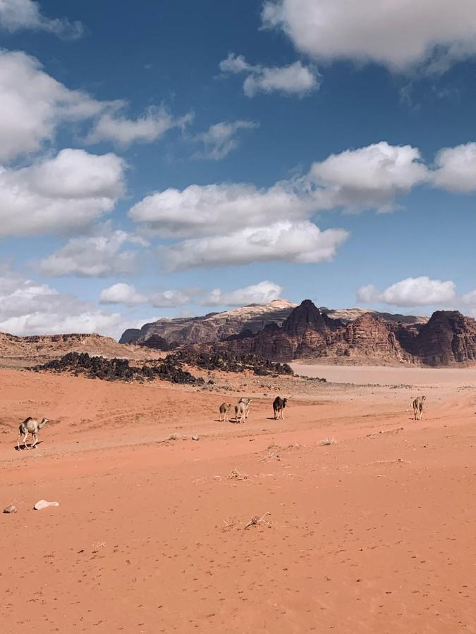 Wadi Rum Story Kültér fotó